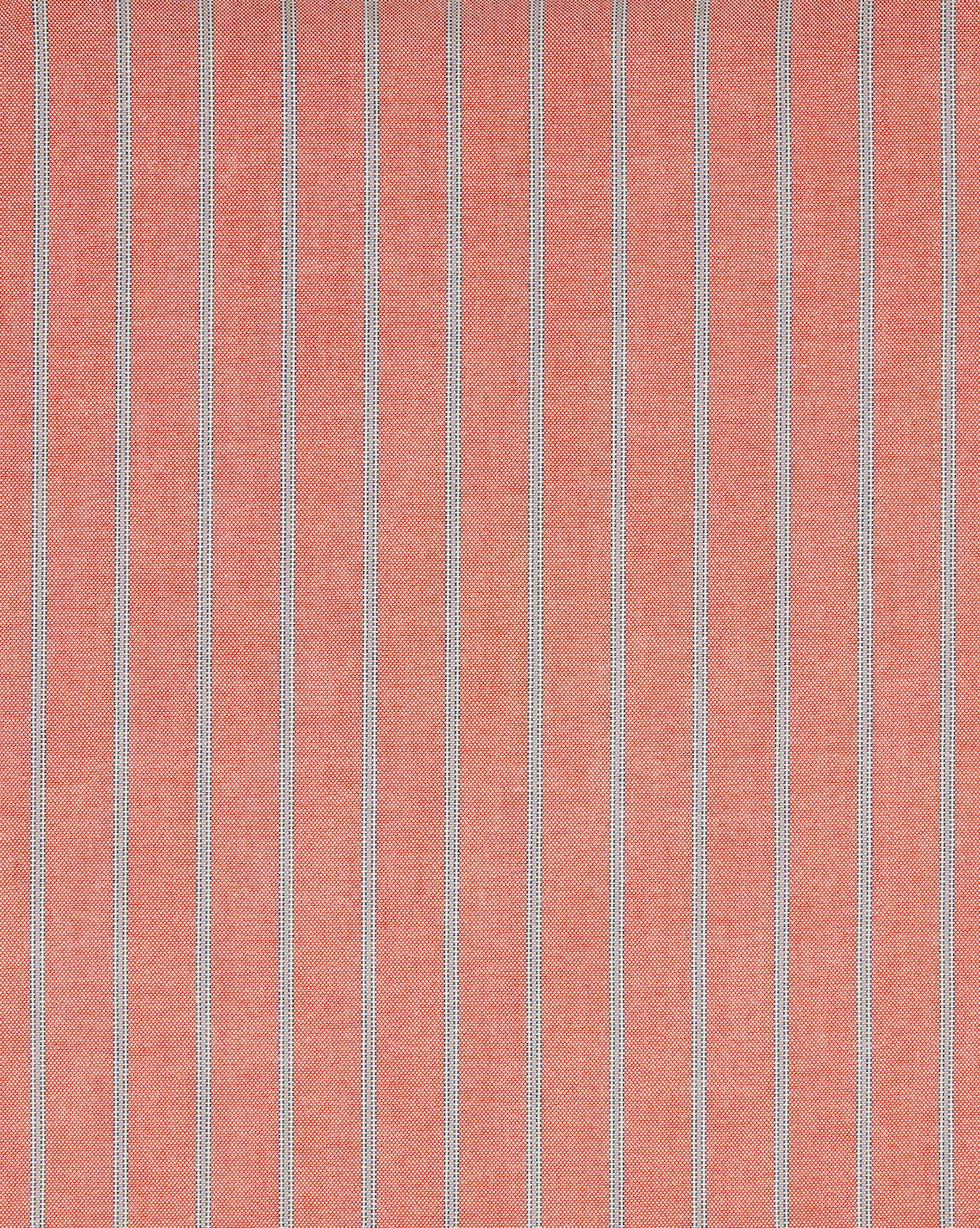 Boxer Pencil Skirt in Coral Stripe Oxford