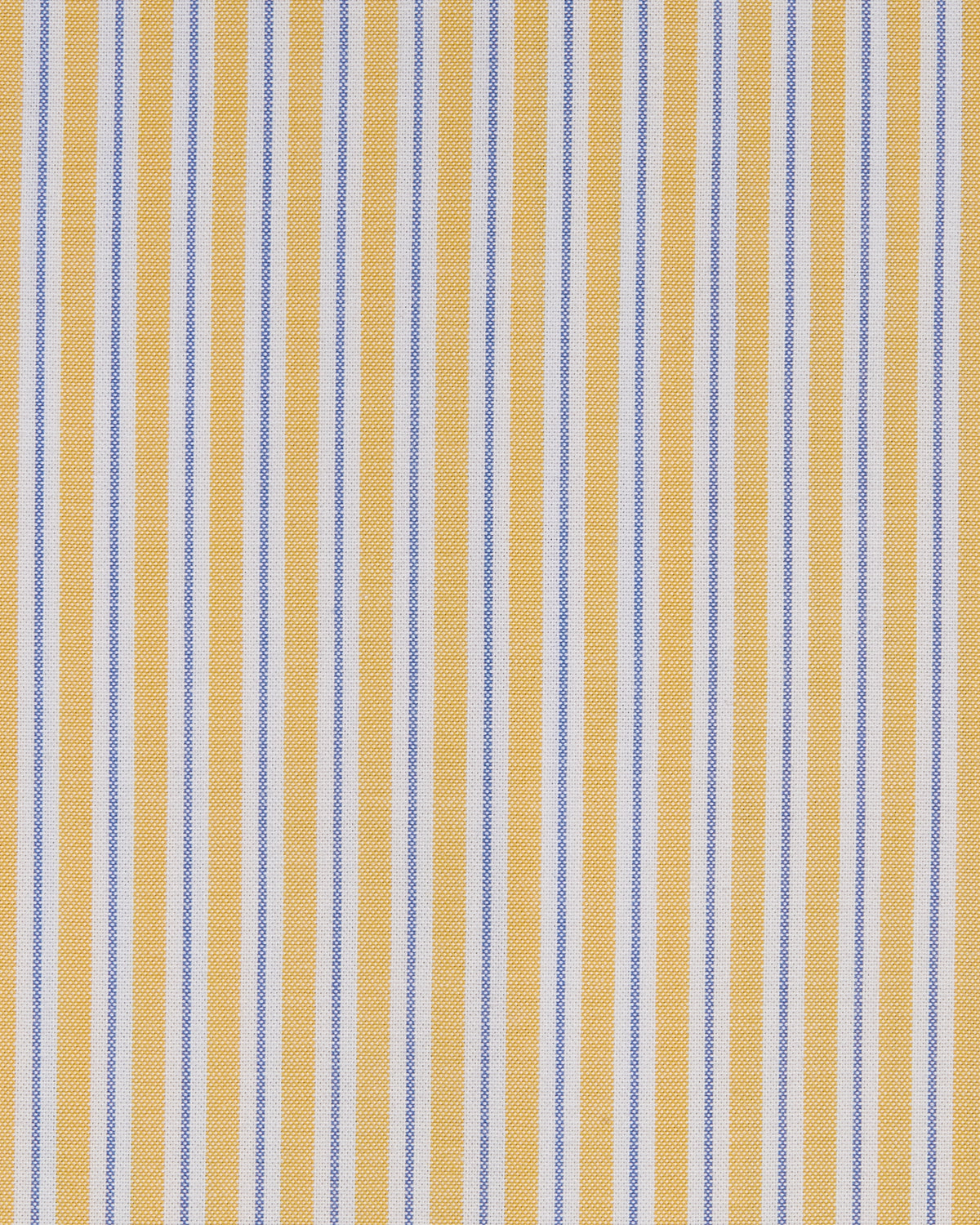 Boxer Pencil Skirt in Yellow Stripe Oxford