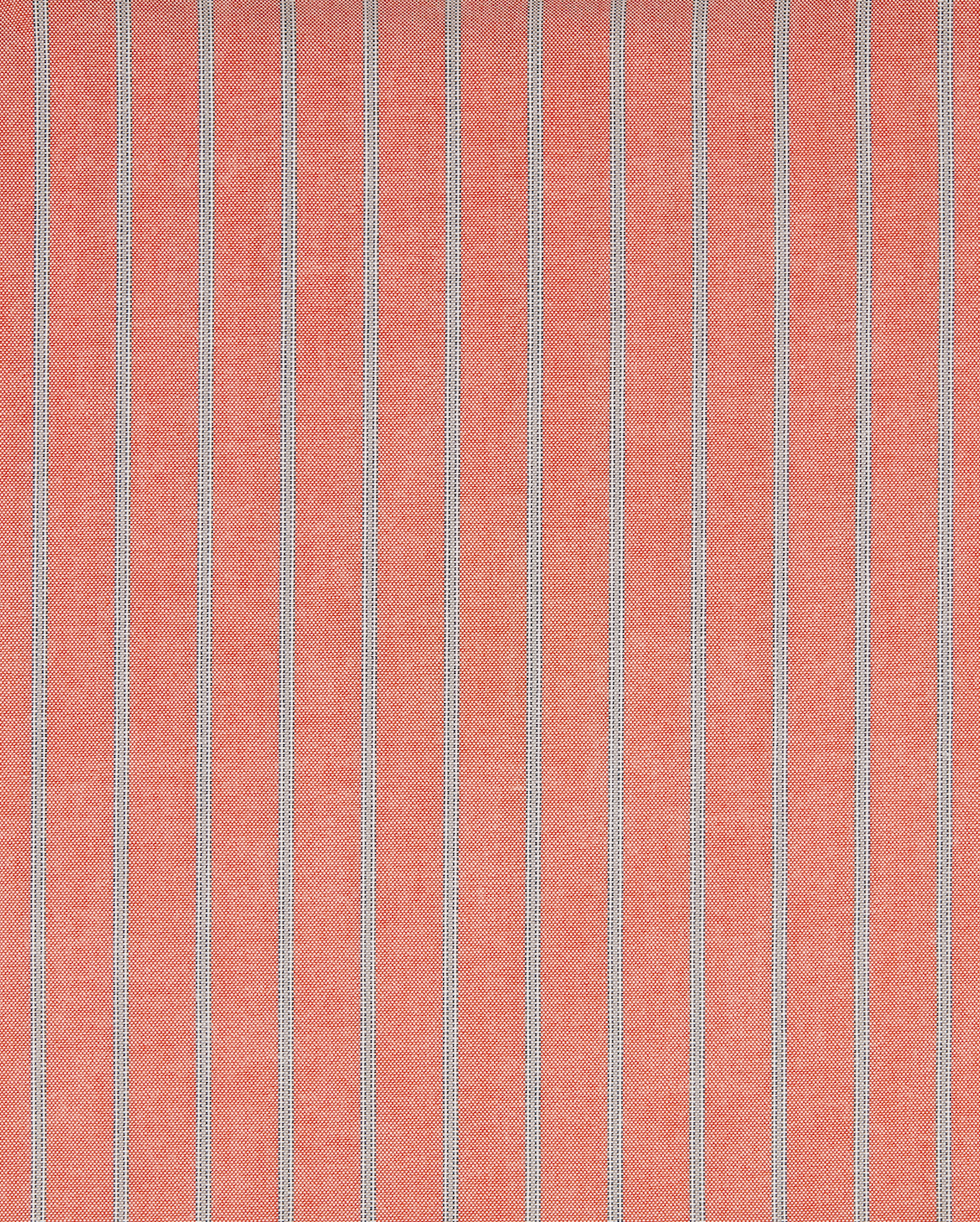Oxford Shirt in Coral Stripe