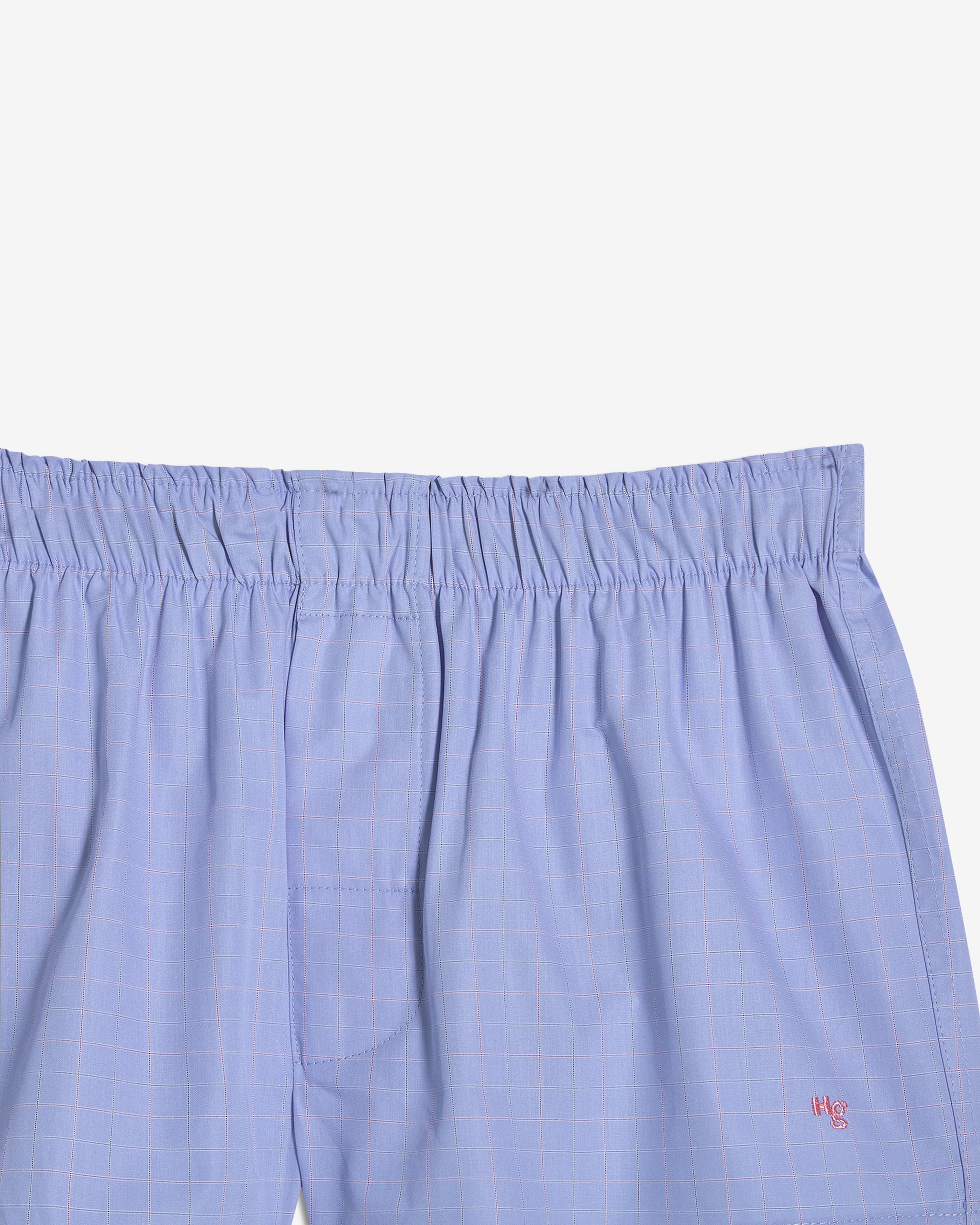 Mini Boxer in Blue Graph