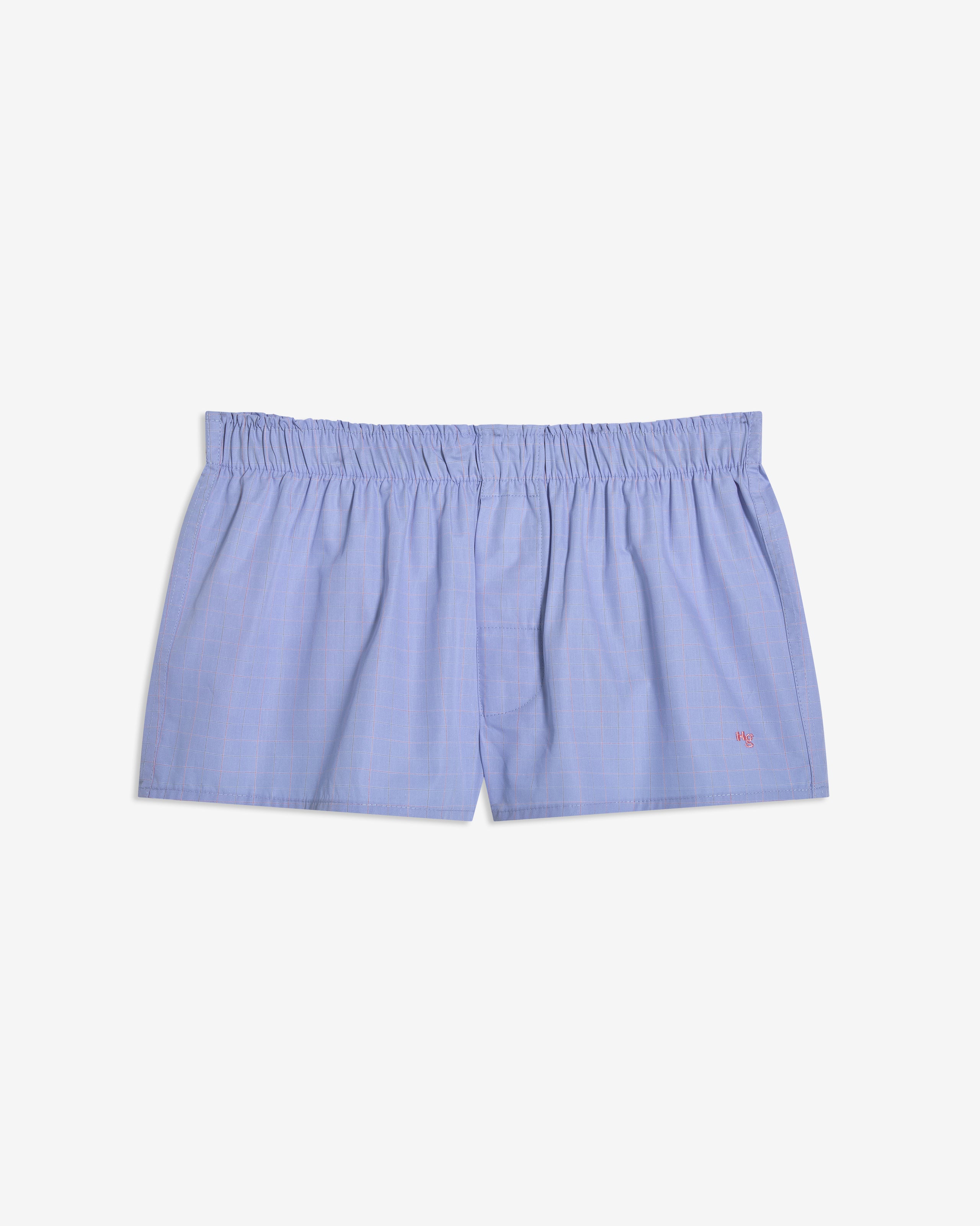 Mini Boxer in Blue Graph