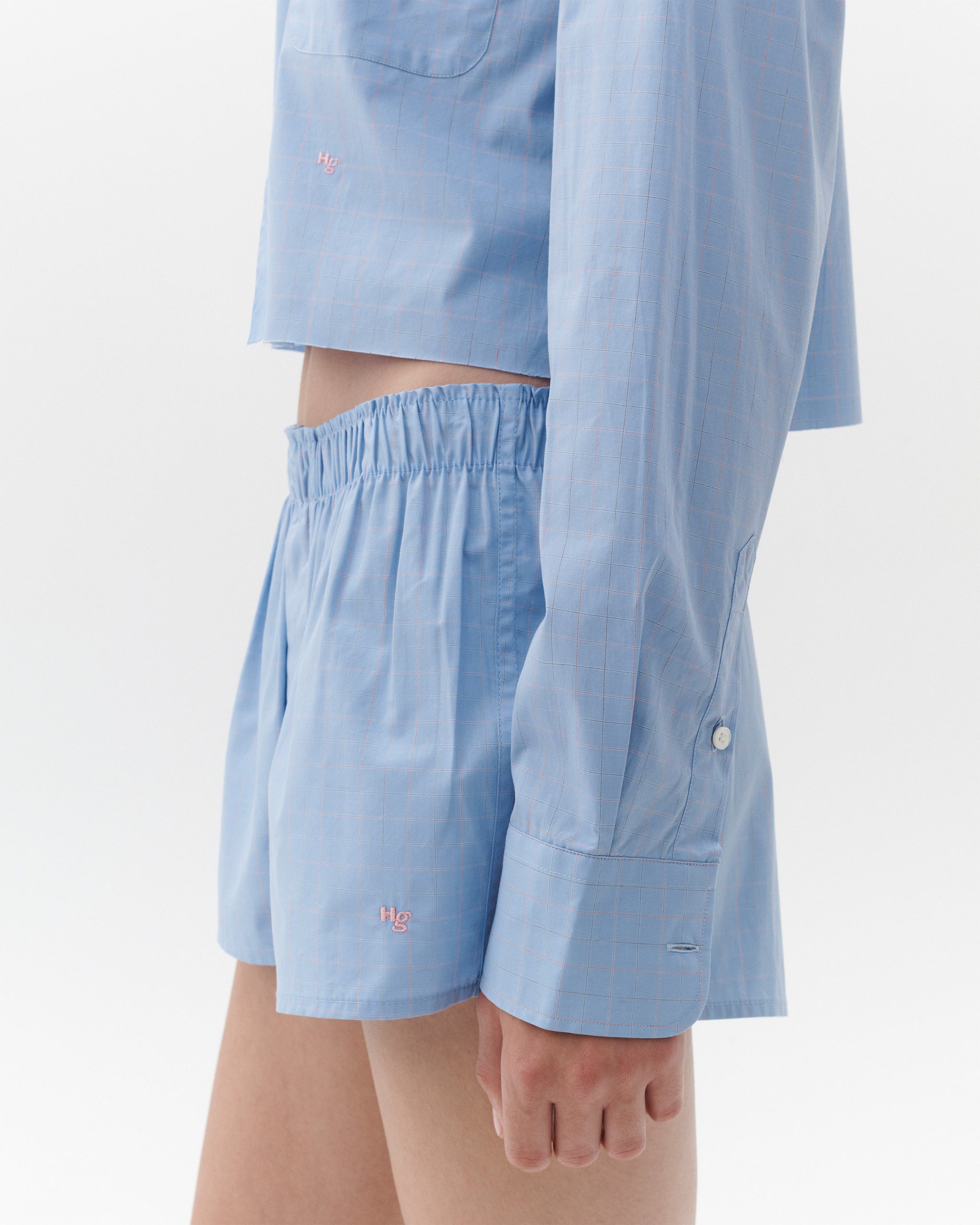Mini Boxer in Blue Graph