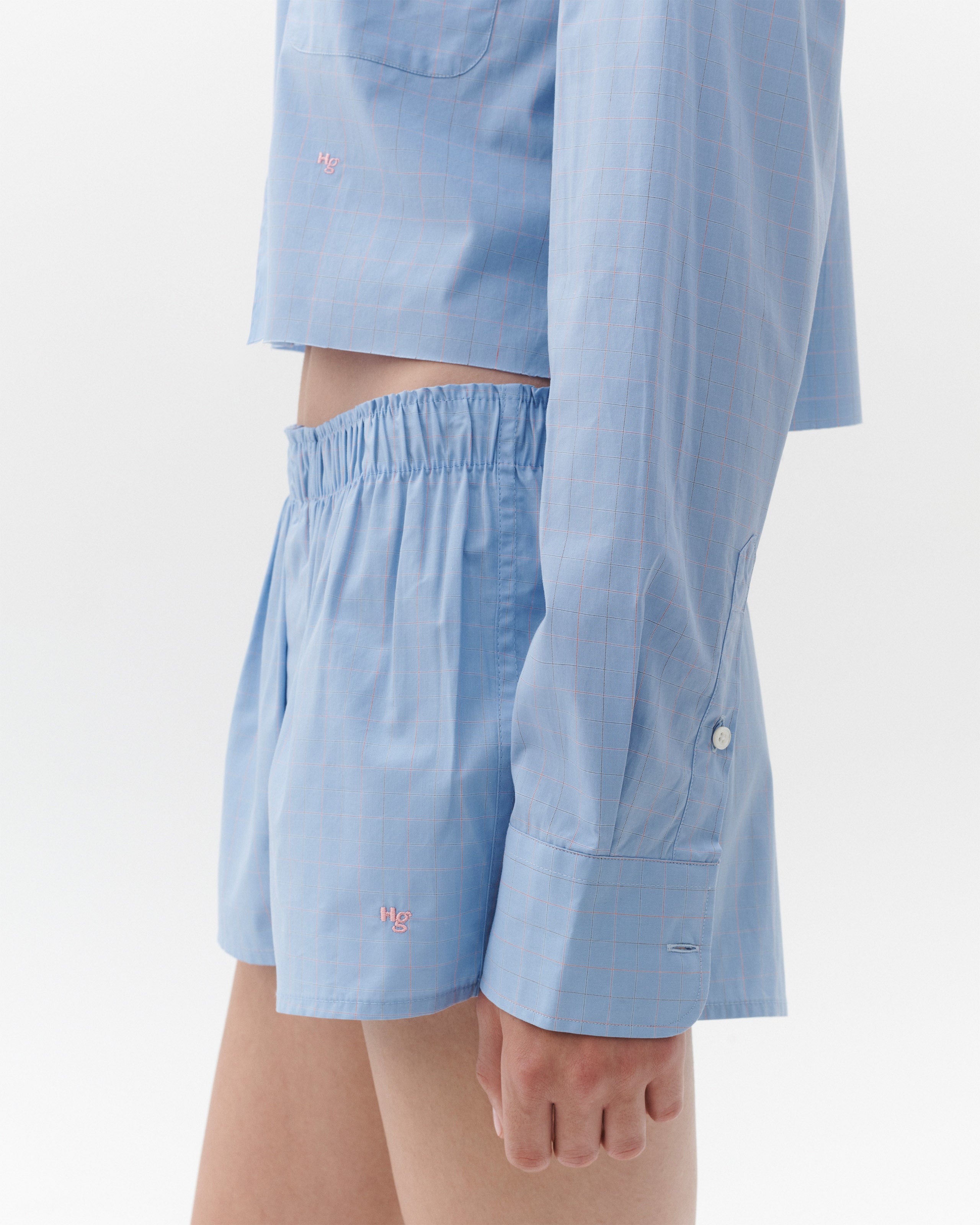 Mini Boxer in Blue Graph