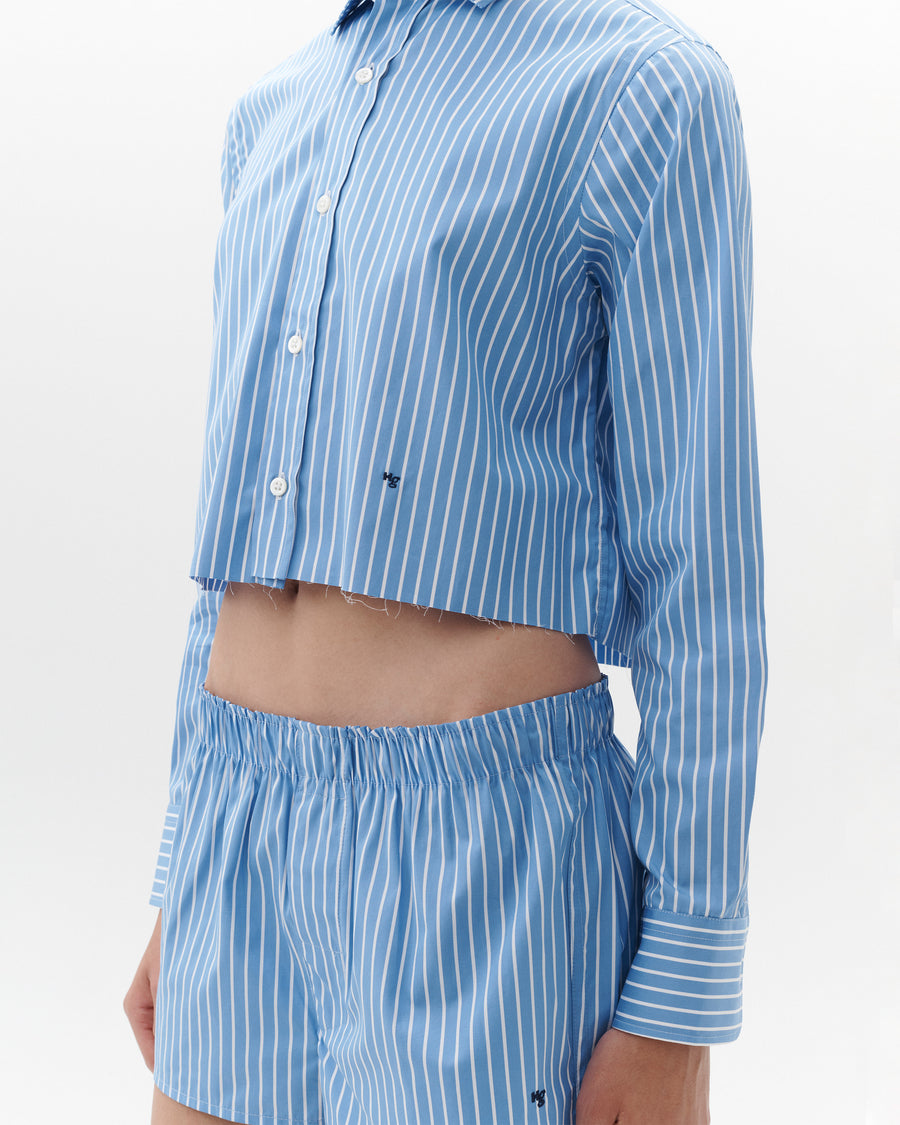 Mini Boxer in Blue Stripe